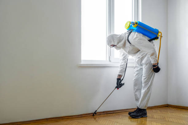 Best Local Pest Control Services  in Benson, MN