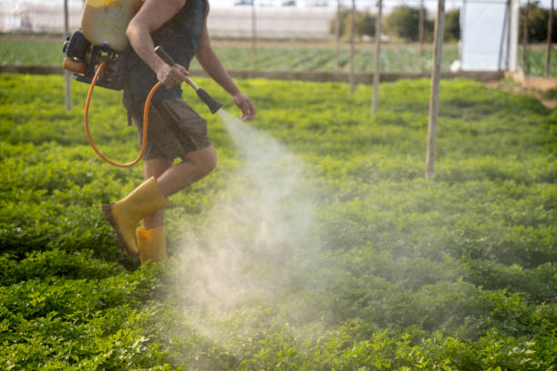 Best Pest Control for Homes  in Benson, MN