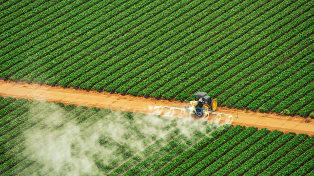Best Commercial Pest Control Services  in Benson, MN