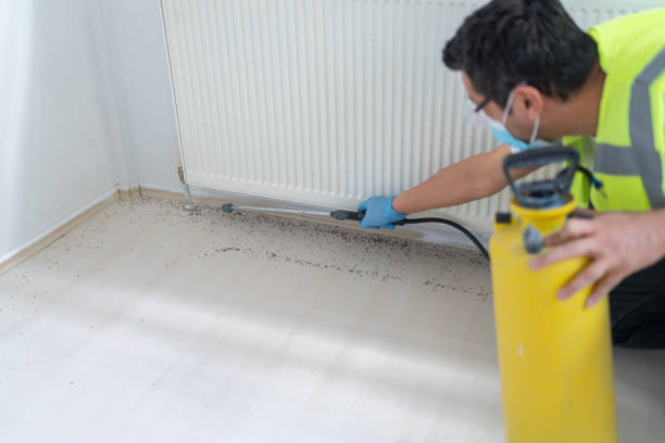 Best Bed Bug Extermination  in Benson, MN