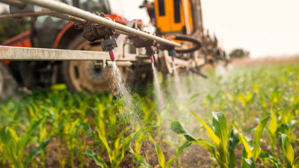 Best Pest Prevention Services  in Benson, MN